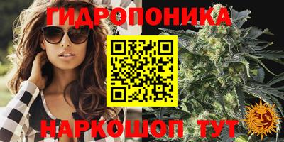 jwh Гусиноозёрск
