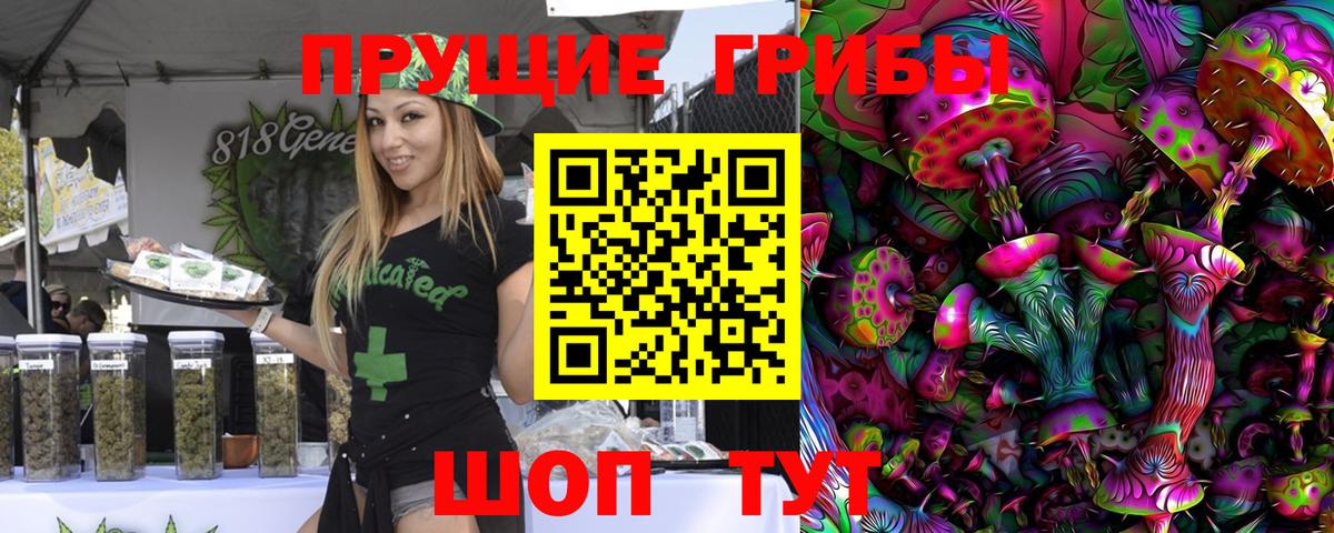 Псилоцибиновые грибы MAGIC MUSHROOMS  Галлюциногенные грибы Psilocybine cubensis  Находка  Вход с VPN 